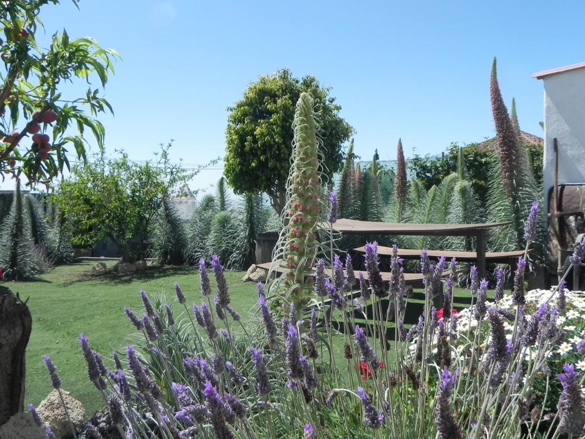 Villa Casa Irma, Great Sea And Mountains Views, Rural House Costa Adeje  Esterno foto
