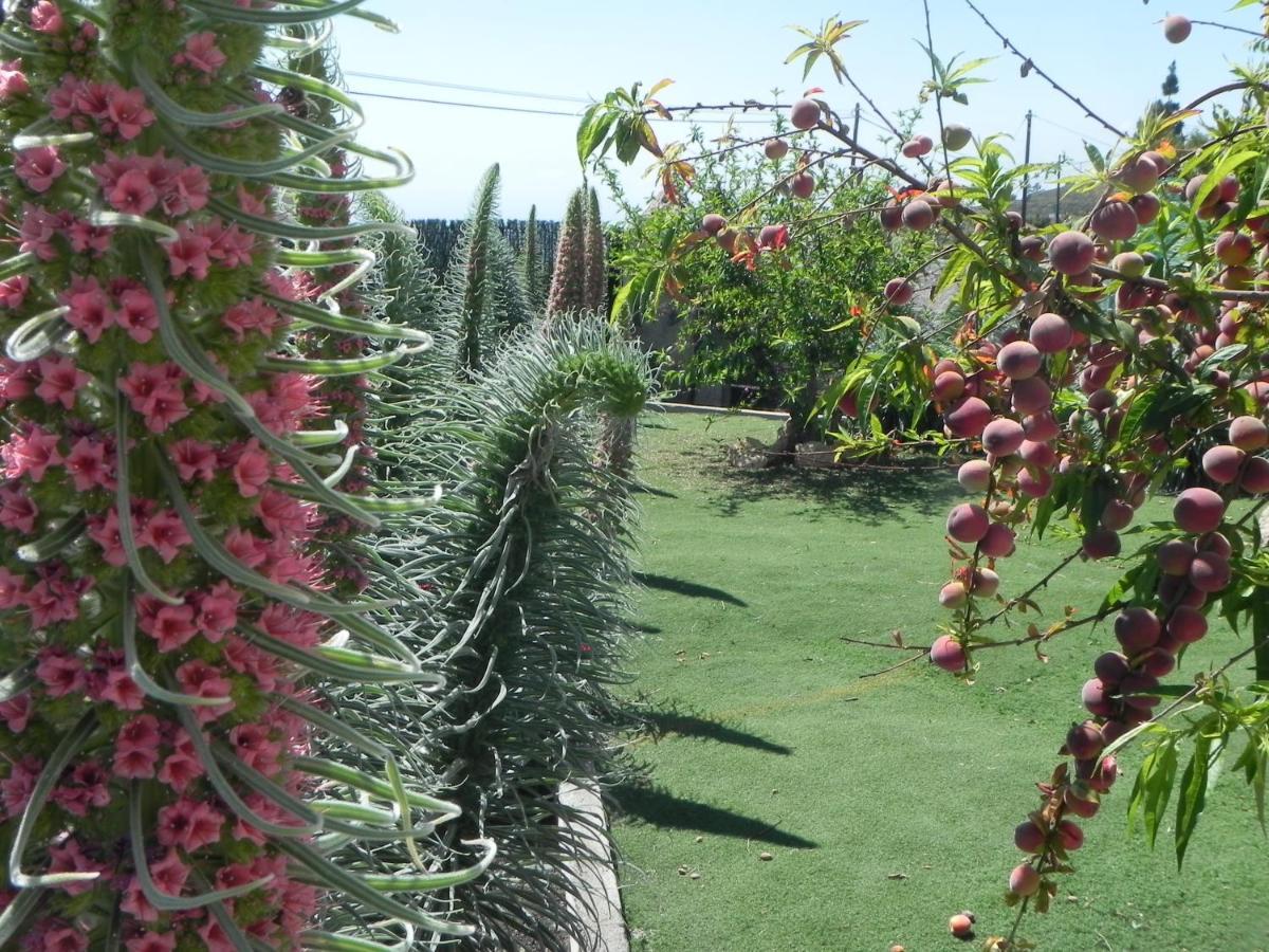 Villa Casa Irma, Great Sea And Mountains Views, Rural House Costa Adeje  Esterno foto